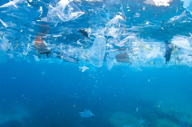 マイクロプラスチック問題の解決を阻む、全世界的な課題とは