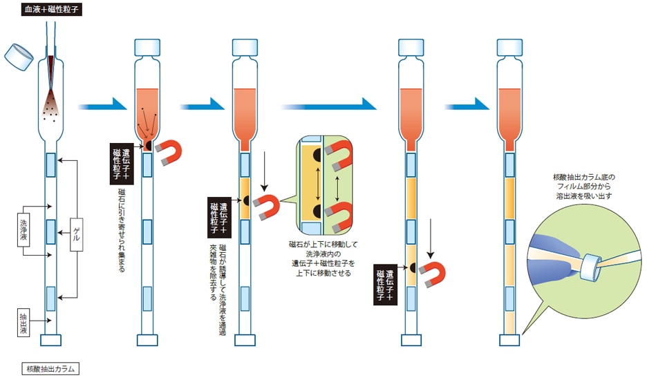 図：核酸を精製する工程