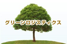 ¥°¥ê¡¼¥ó¥í¥¸¥¹¥Æ¥£¥¯¥¹