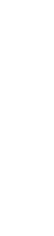 voice