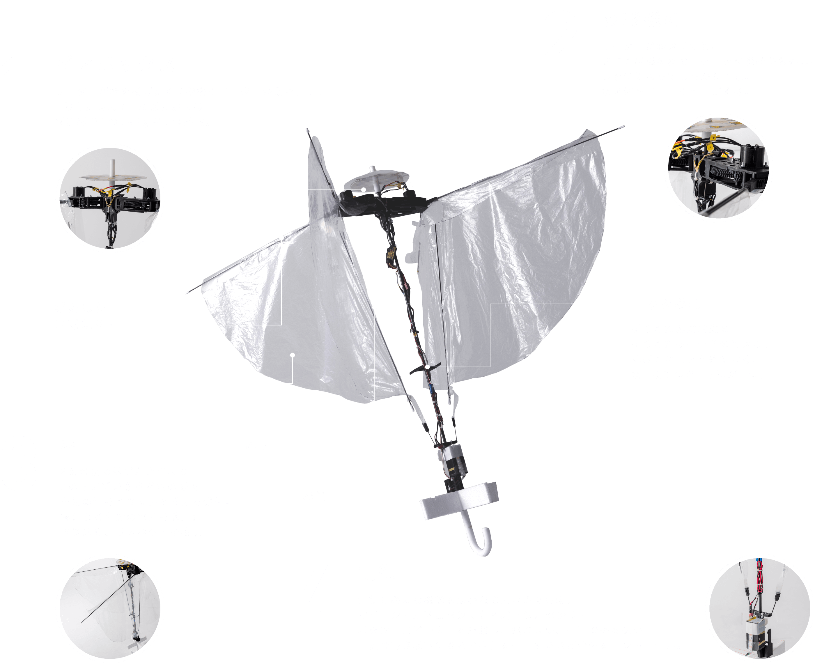 第一試技ぱたぱた「カサフライちゃん」