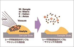 イオン化法のイメージ図