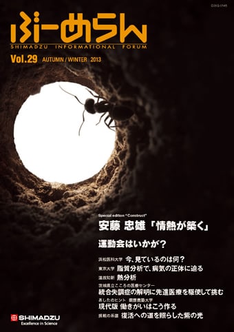 Vol.29表紙