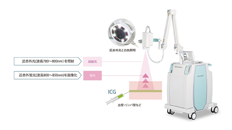 近赤外光カメラシステム LIGHTVISION