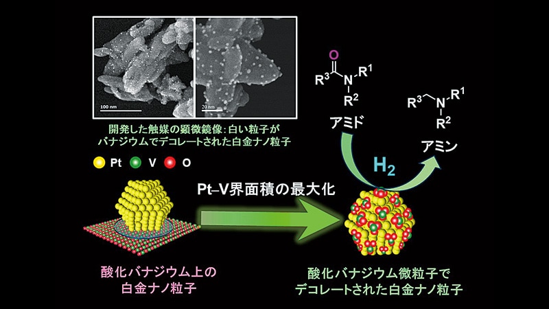 図：満留准教授ご提供