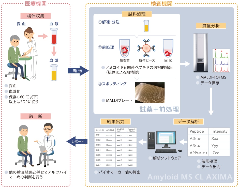 血液採取から解析までのフロー