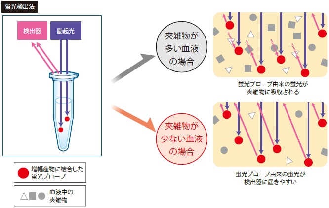 図：蛍光が夾雑物に吸収される様子