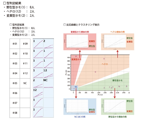 解析表示