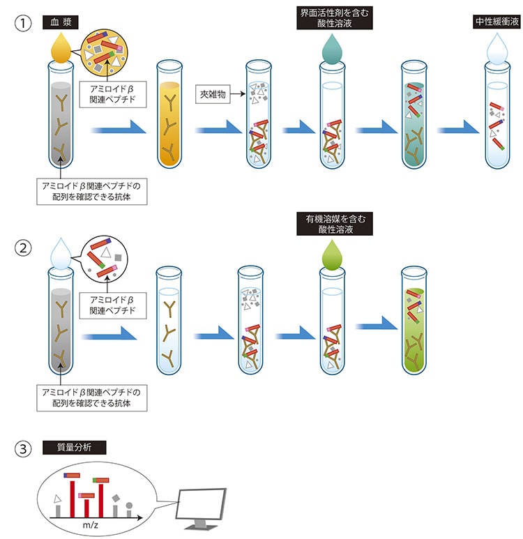 アルツハイマー病早期検出を目指した血液検査でのアミロイドβ関連ペプチド抽出方法のイメージ図