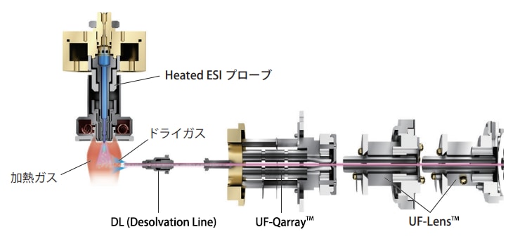 UF-Lens