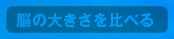 Ǿ礭٤