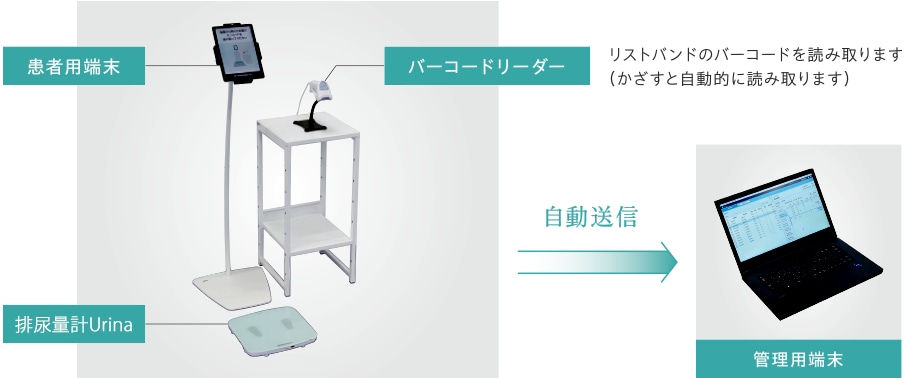 一括管理型システム