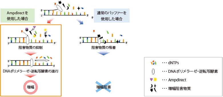 RNA精製を不要にするAmpdirect Technology