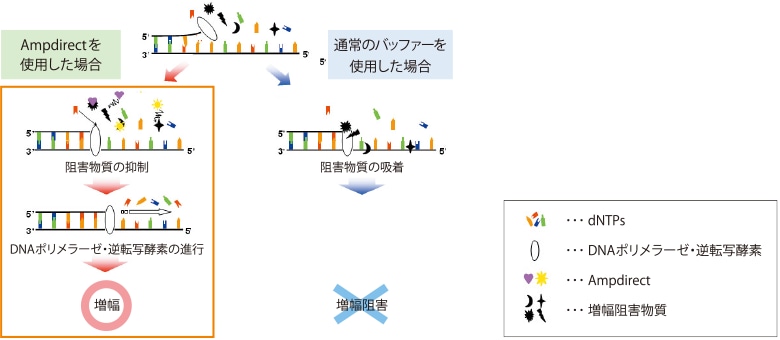 RNA精製を不要にするAmpdirect Technolog