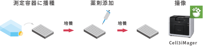 測定容器に播種→薬剤添加→撮像（Cell3iMager）