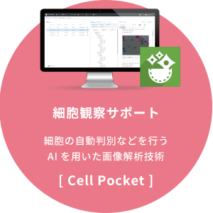 「細胞観察サポート」細胞の自動判別などを行うAIを用いた画像解析技術[Cell Pocket]
