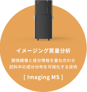 「イメージング質量分析」顕微鏡像と成分情報を重ね合わせ試料中の成分分布を可視化する技術[Imaging MS]