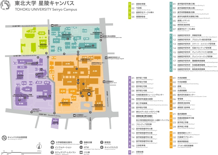 東北大学 星陵キャンパスマップ