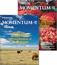 MOMENTUM