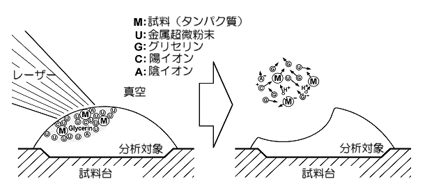 図3