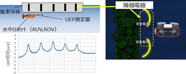 特徴:海洋生物を除去せず、水中ロボットに搭載して非接触腐食検査が可能