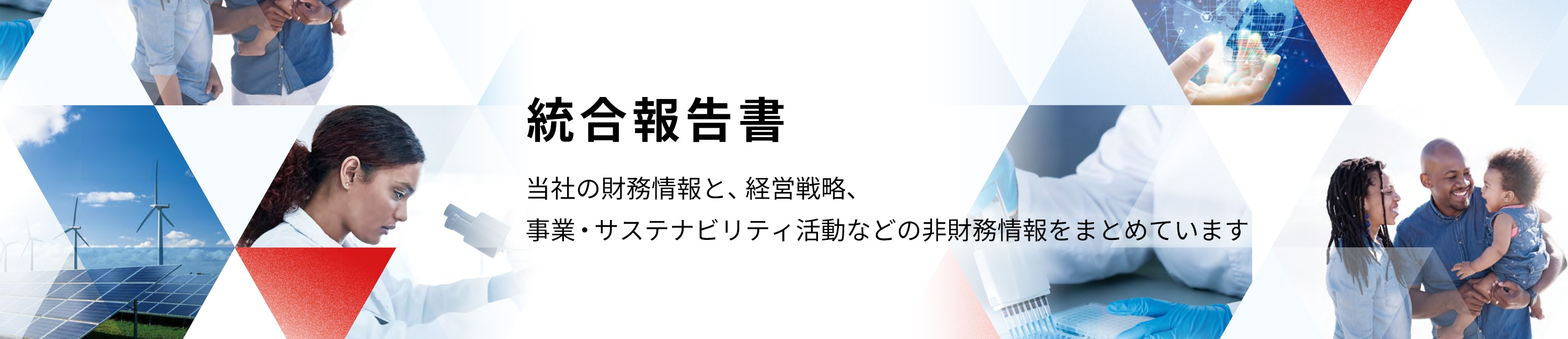 統合報告書