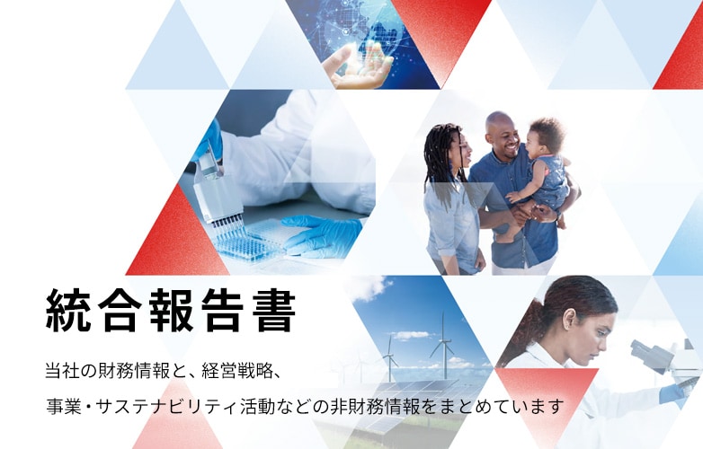 統合報告書