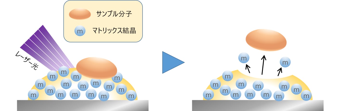 質量分析とは