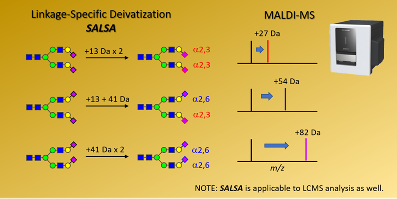 MALDI-MSのネガティブイオンモードによる糖鎖分析