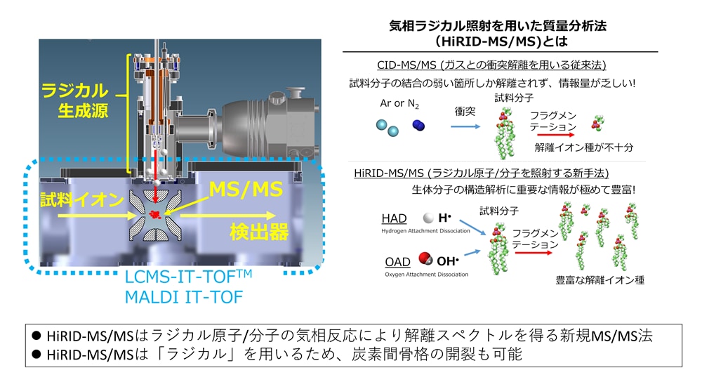 当研究所が開発した質量分析法「HiRID-MS/MS」を用いた 東京大学との共同研究成果がNature Chemistry誌に掲載