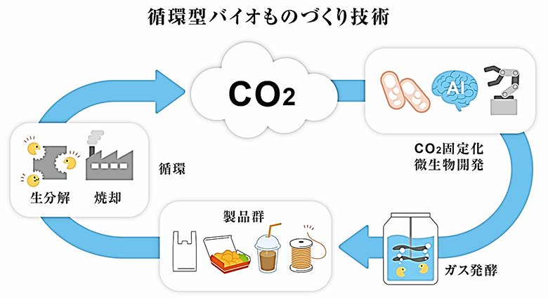 循環型バイオものづくり技術