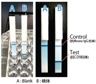 「Exorapid-qIC」による試験の様子 （左：試験中、右：試験後）