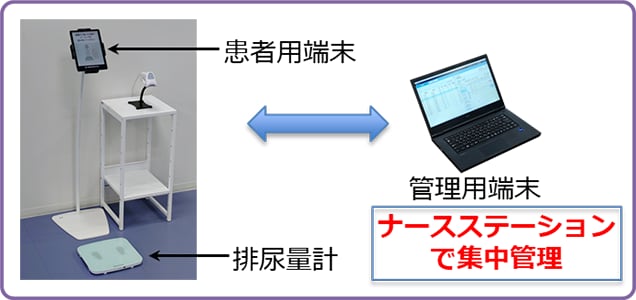 一括管理型システム