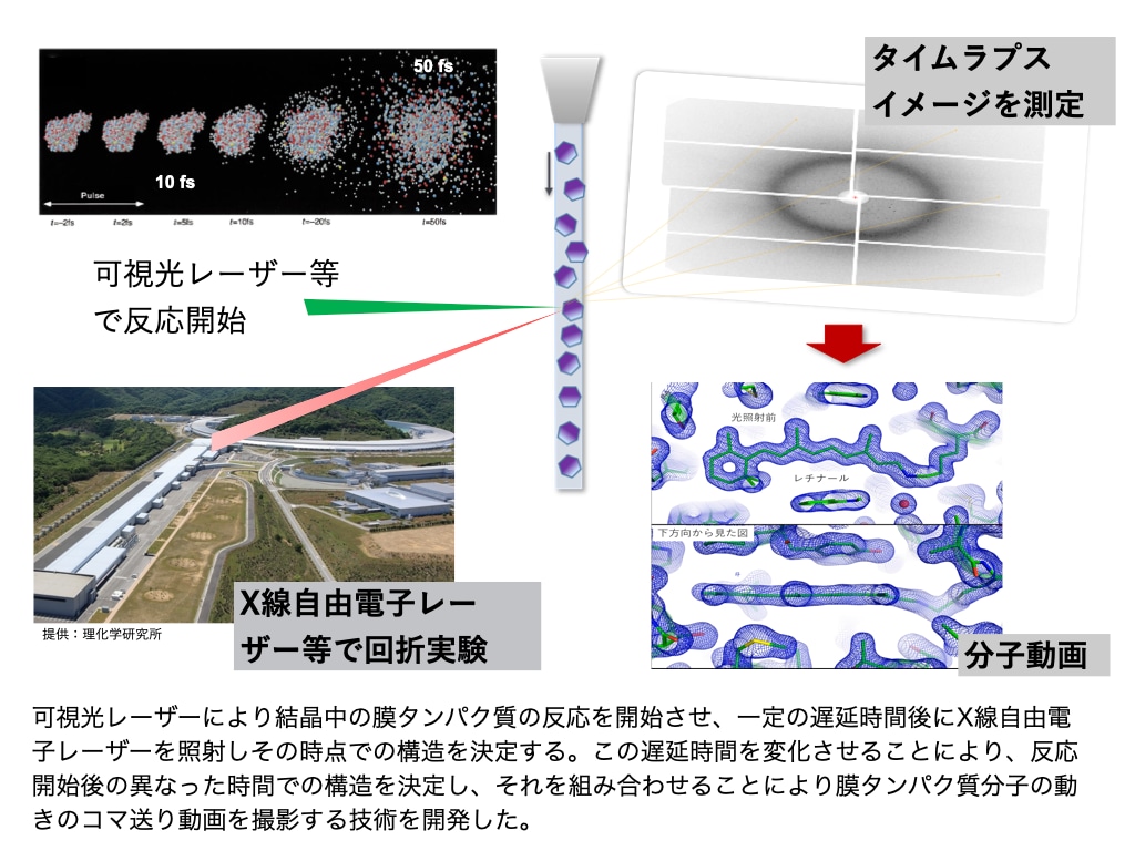 受賞業績のコア技術となる高速分子動画法の概念図