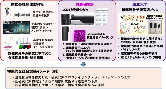 「島津製作所×東北大学 超硫黄生命科学共創研究所」にて取り組む研究内容の概要