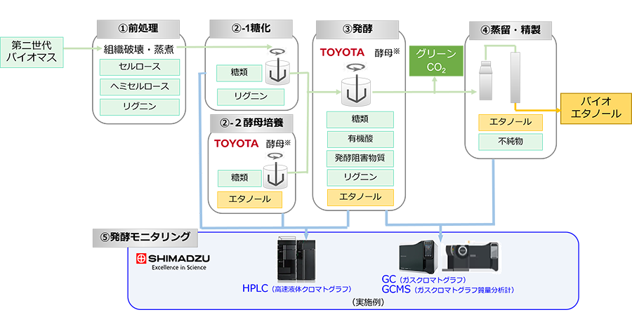 ※トヨタ自動車が開発した酵母「TOYOTA XyloAceTM」