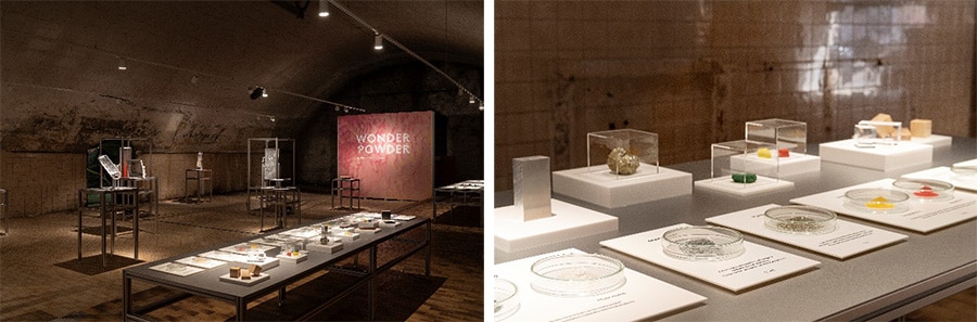 写真：ミラノデザインウィークで展示した「WONDER POWDER」の作品
