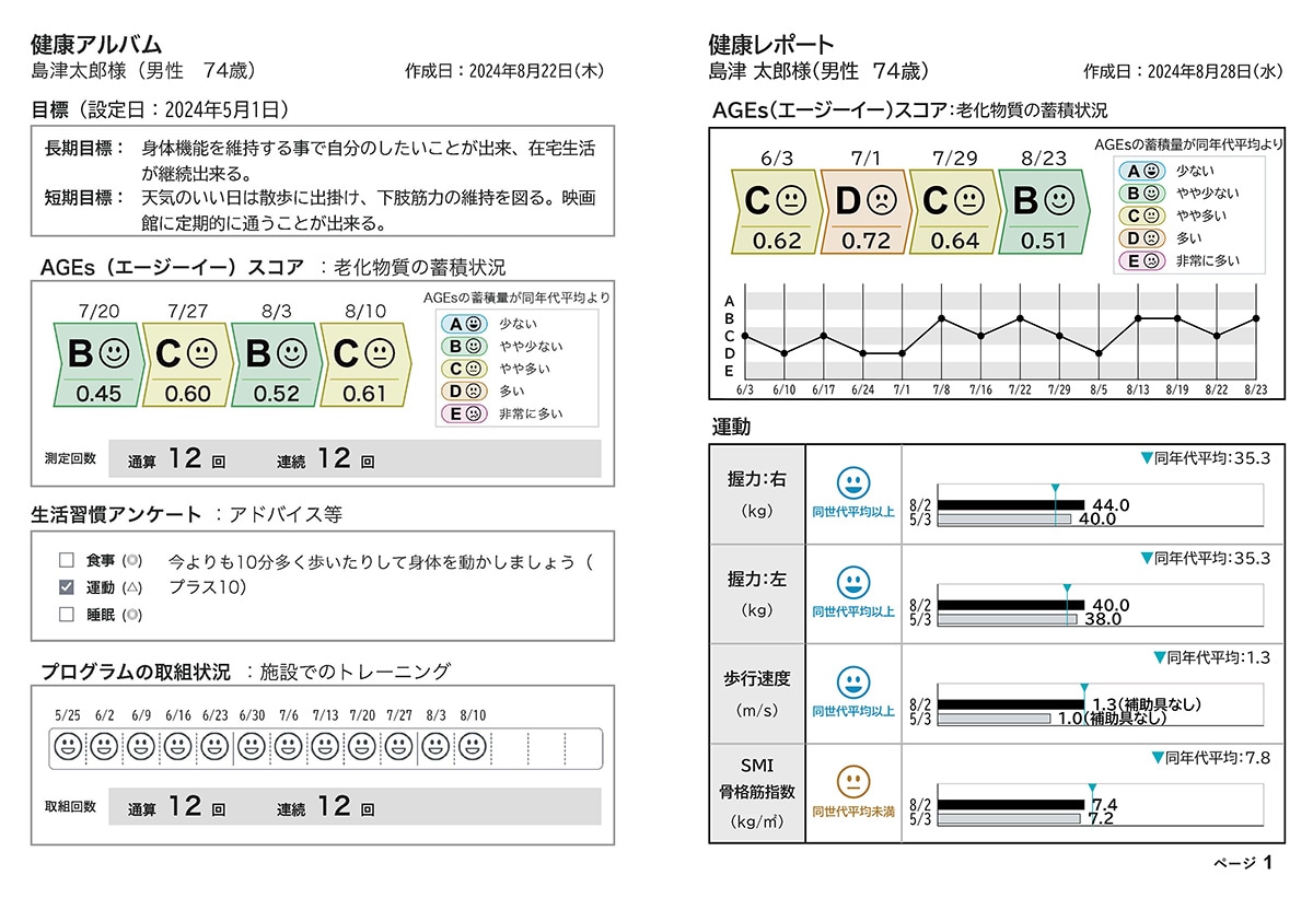 統合レポートの詳細