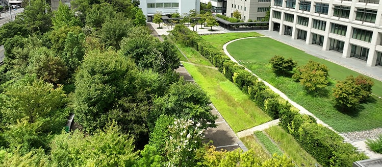 「島津の森」ドローン写真