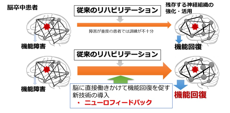 リハビリテーションによる機能回復戦略