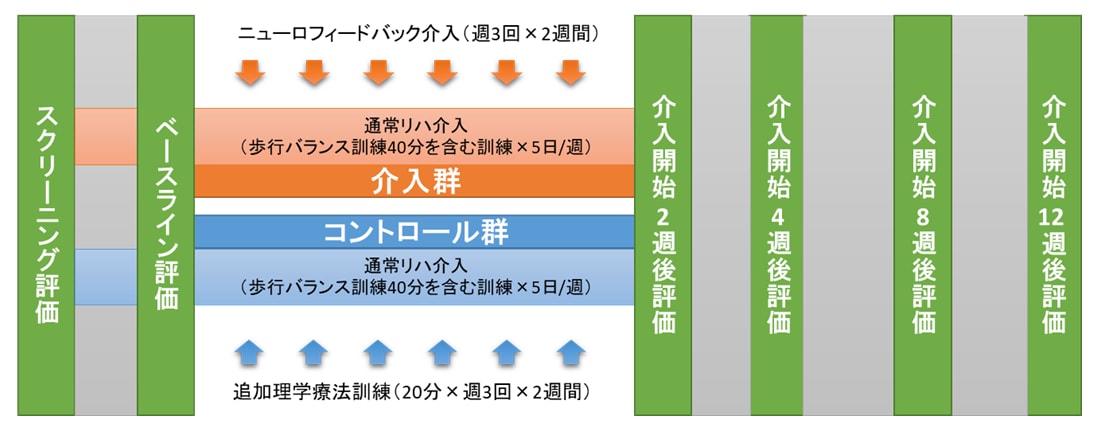 本治験の概要図