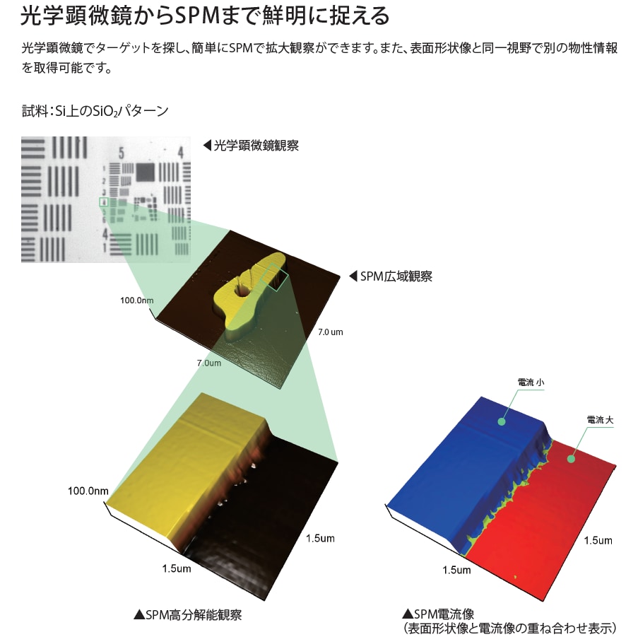 光学顕微鏡からSPMまで鮮明にとらえる