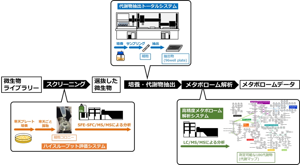 図　メタボローム解析システムの概要