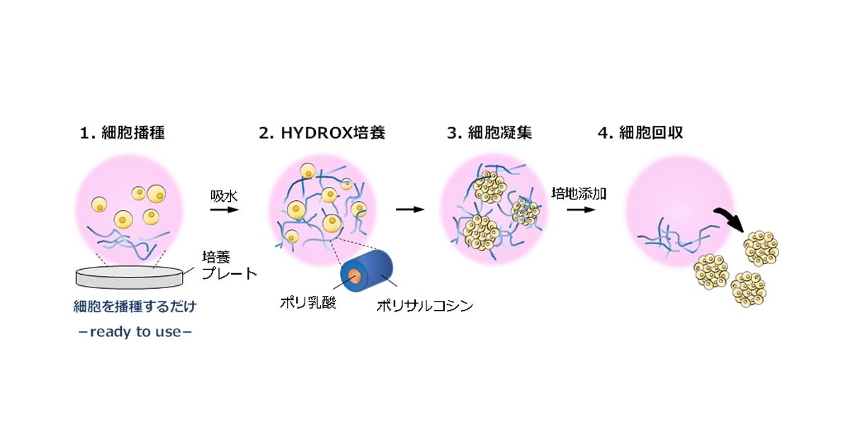 SHIMADZU] 簡単・安全に細胞の三次元培養を実現する三次元ナノ