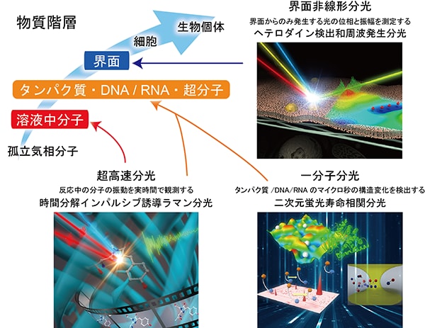 新しい超高速分光・界面非線形分光・一分子分光が解明する物質階層