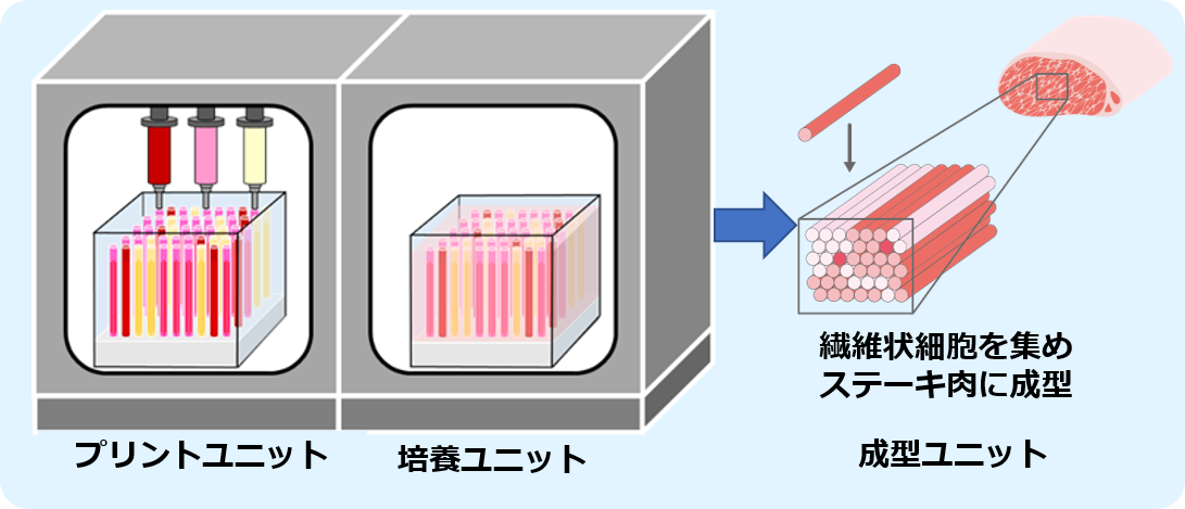 ３Ｄバイオプリントを応用したテーラーメイド培養肉自動生産装置のイメージ