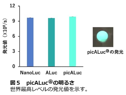 picALucの明るさ