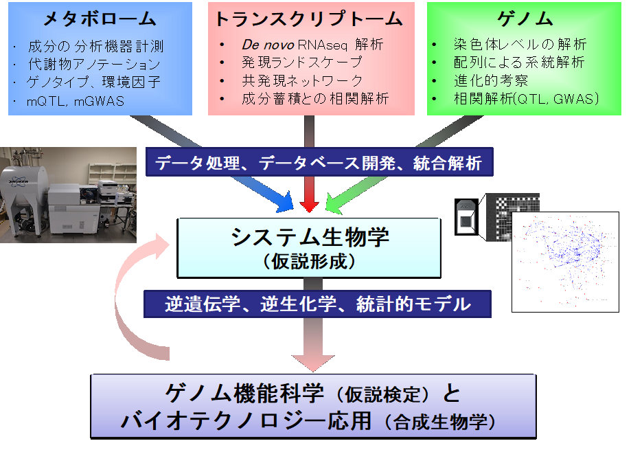 「ファイトケミカル ゲノミクス」の定式化