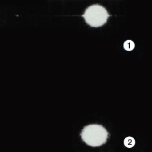図15 +1 次回折光の写真による迷光の比較例