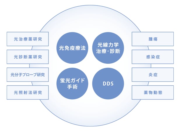 適用研究分野